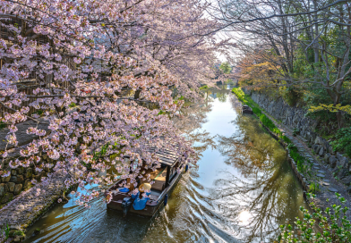 Mùa xuân Nhật Bản thường bắt đầu vào tháng 3 đến tháng 5