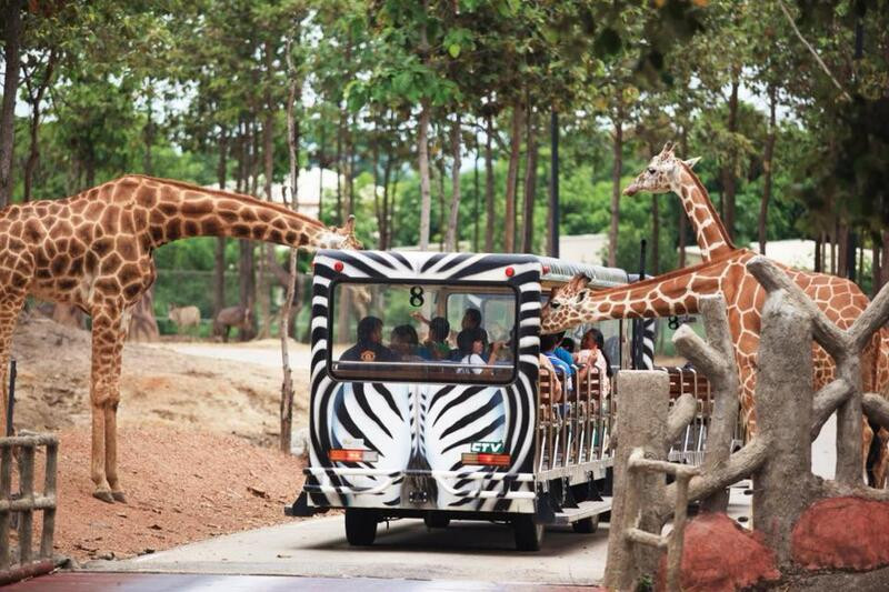 Khách tham quan trên xe điện tại Sở thú Chiang Mai Night Safari