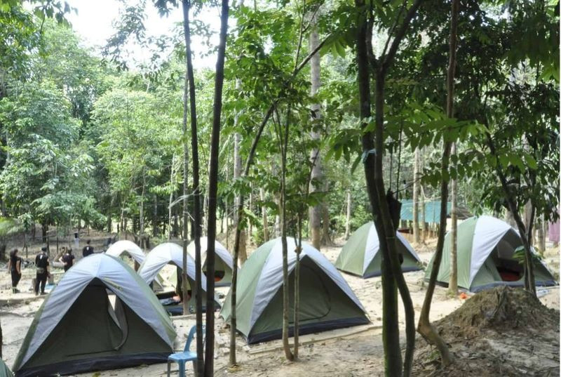 Cắm trại ở Taman Negara