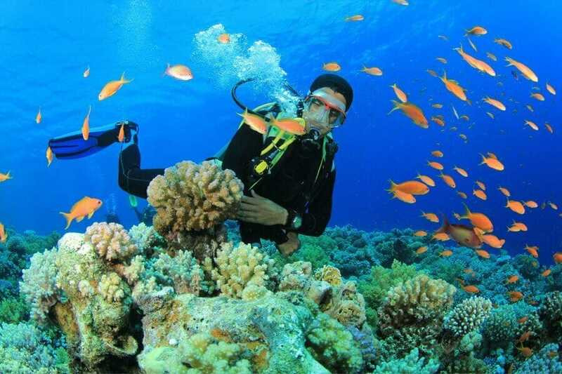 Khám phá những rạn san hô tuyệt đẹp tại Ghềnh Bàng